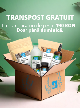 Transport gratuit | BEWIT.love