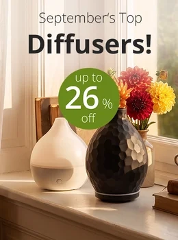 Diffusers of the month - up to 26 % off