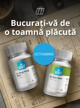 Bucurați-vă de o toamnă plăcută | Medicina Tradițională Chineză