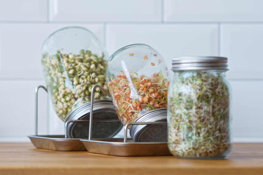 Sprouting jars: A simple way to grow fresh sprouts