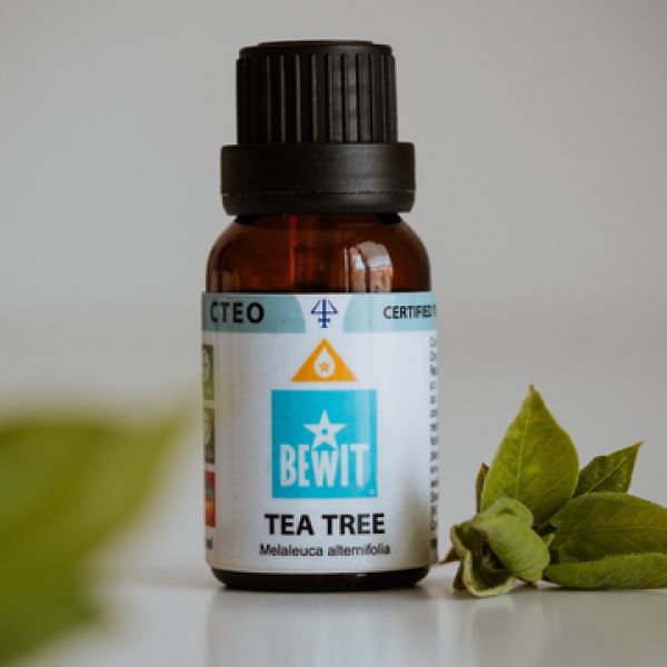 TEA TREE.png