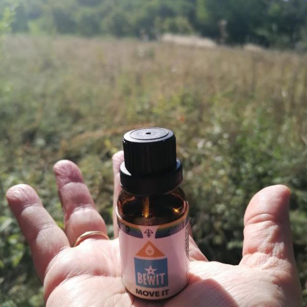 recenzie move it.jpeg