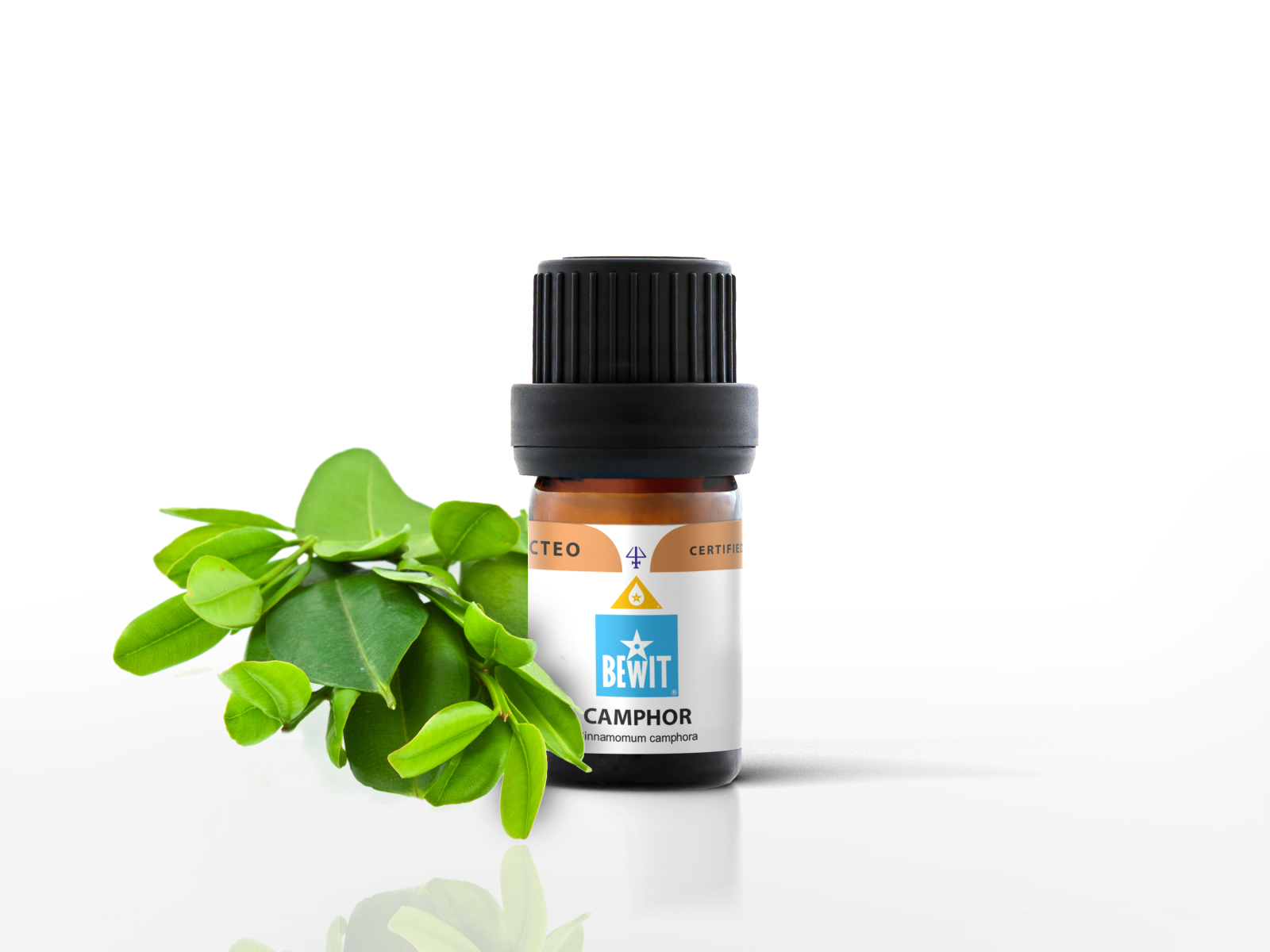 Kafr (Ravintsara) - 100% pure essential oil - 2