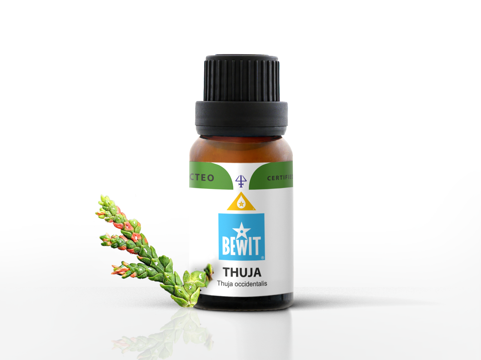 BEWIT Thuja - 100% pure essential oil