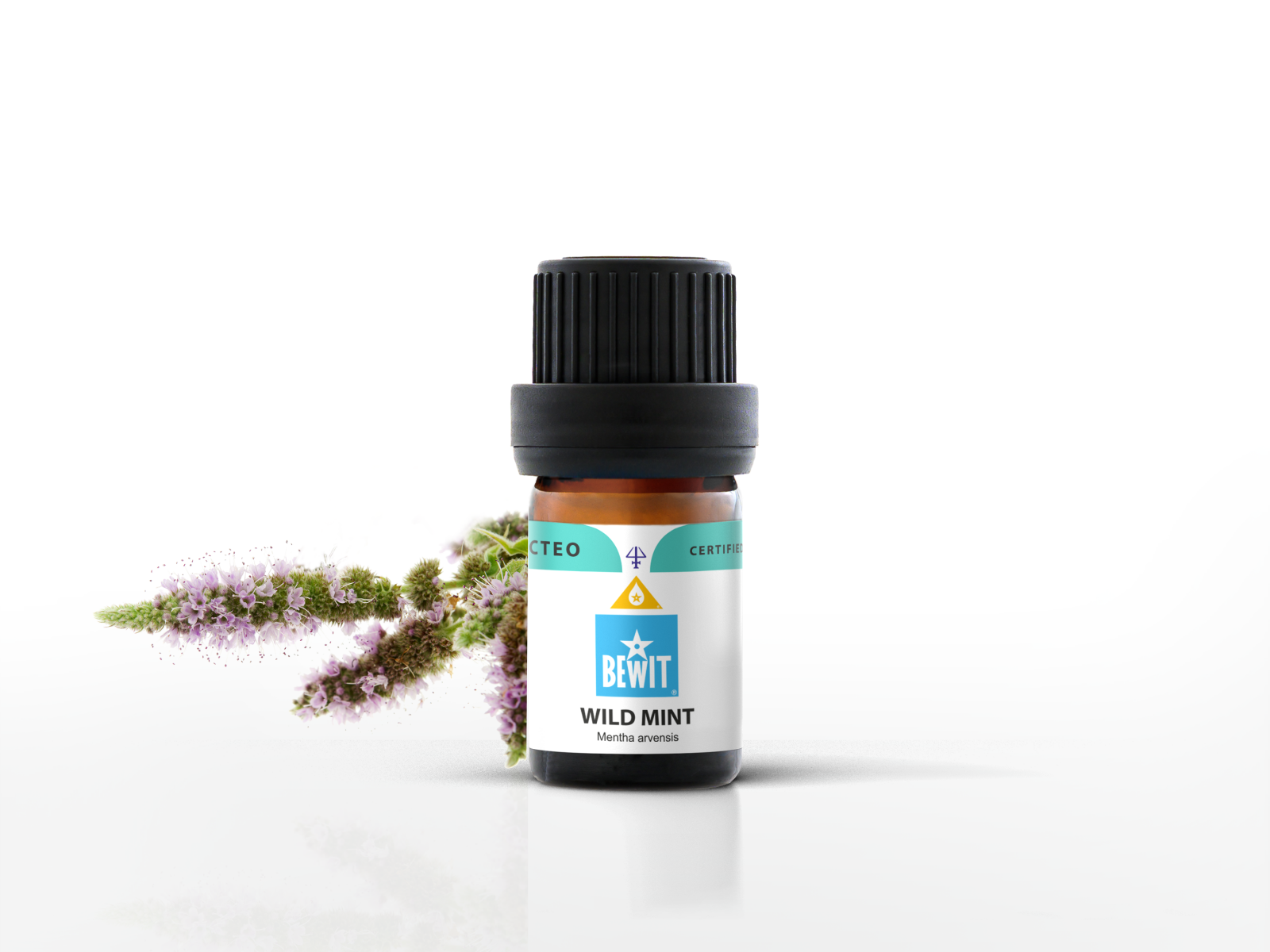 Wild mint - 100% pure essential oil - 2