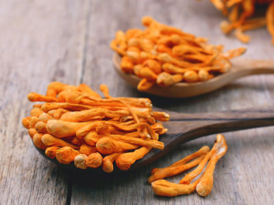PRAWTEIN Cordyceps Plus - Nahrungsergänzungsmittel - 3