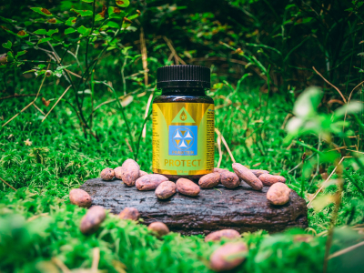 PRAWTEIN Protect - Supernahrungsmittel - 7