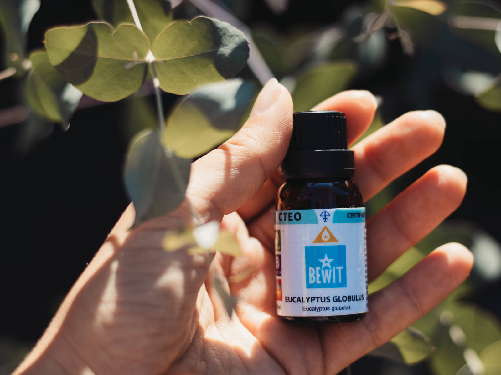 BEWIT Eucalyptus globulus - This is a 100% pure essential oil - 8