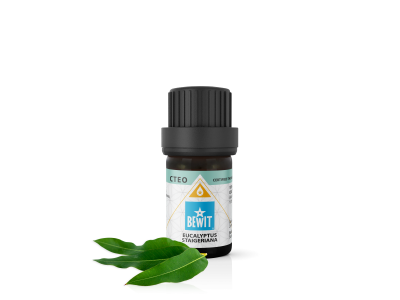 Eukalyptus Staigeriana esenciální olej - 100% čistý a přírodní CTEO® esenciální olej - 2