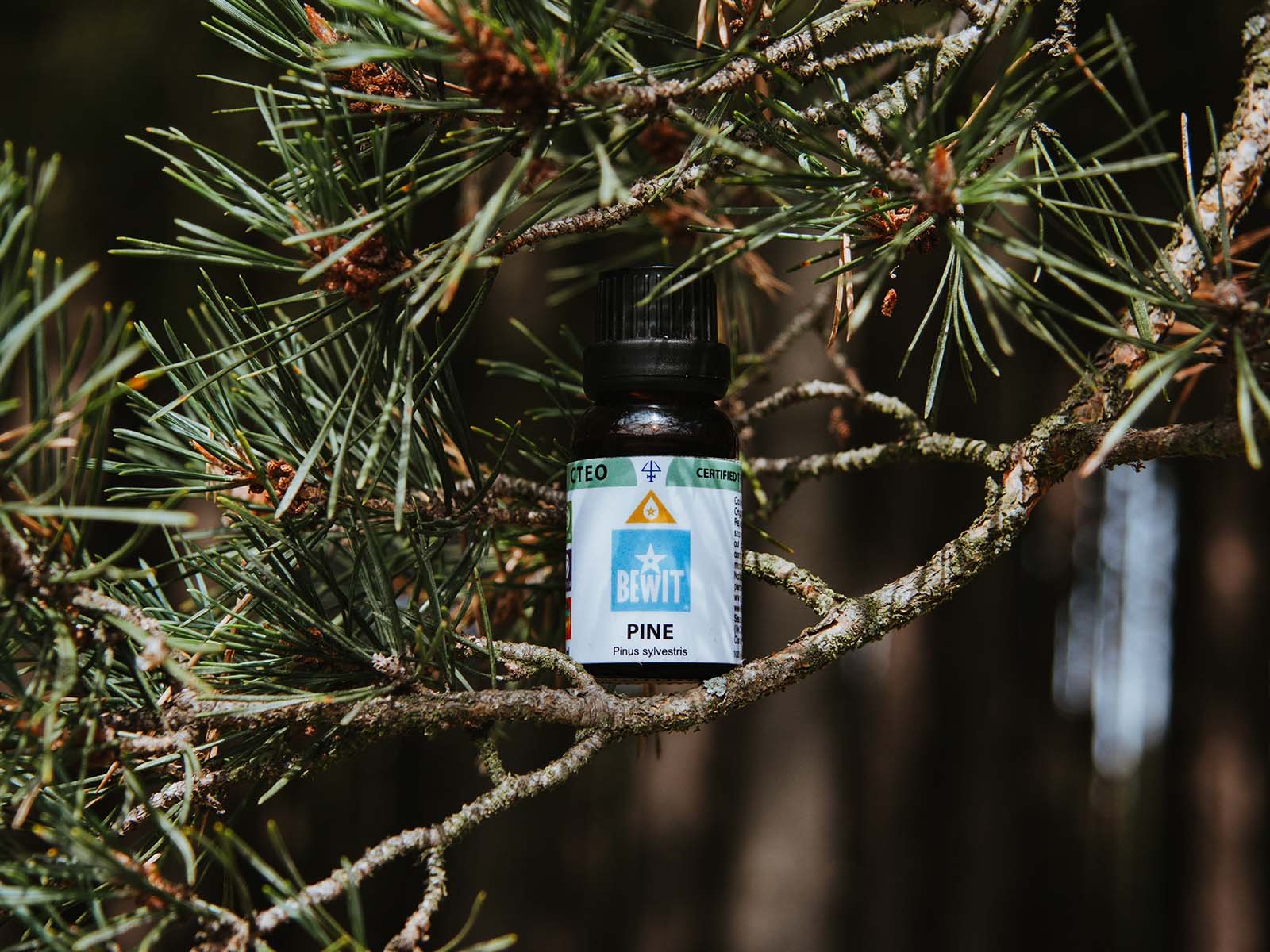 BEWIT Pine - This is a 100% pure essential oil - 4