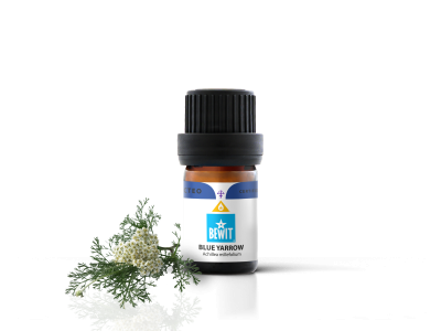 Yarrow Blue essential oil