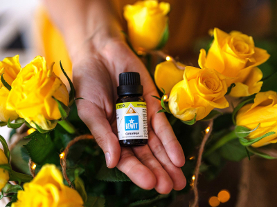 Cananga - 100% pure and natural essential oil - 3