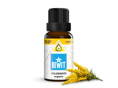 BEWIT Canadian goldenrod ORGANIC