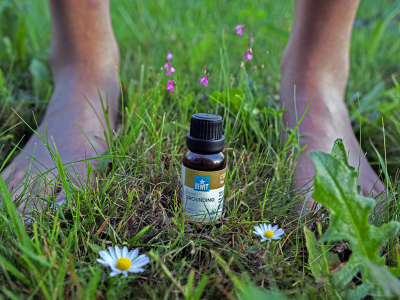 Grounding olejek eteryczny - 100% czysta i naturalna mieszanka olejków eterycznych CTEO® - 2