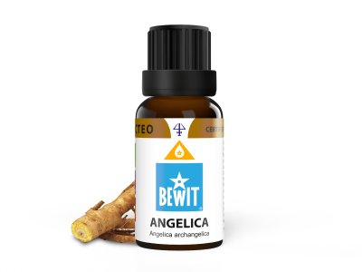 Angelica Essential Oil