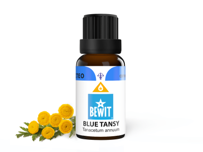 BEWIT Blue tansy