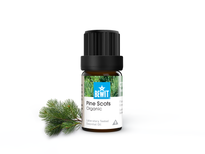 Waldkiefer BIO - 100% reines und natürliches CTEO® ätherisches Öl - 2