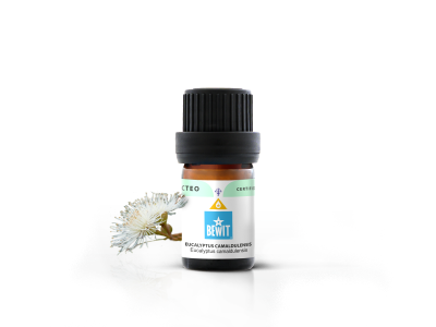Eukalyptus Camaldulensis ulei esențial - Ulei esențial CTEO®, 100% pur și natural - 2
