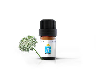 Khella eterinis aliejus - 100% grynas ir natūralus CTEO® eterinis aliejus - 2