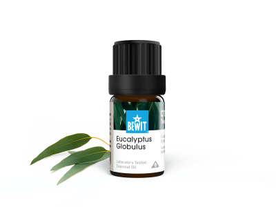 Eukalyptus Globulus - 100 % ren og naturlig eterisk CTEO®-olje - 2