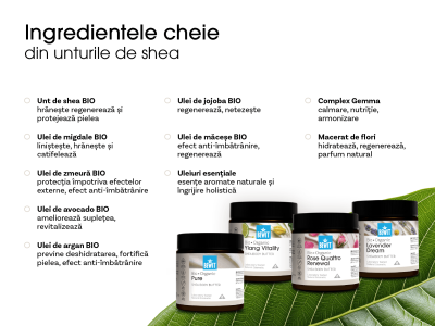 Unt de shea organic cu lavandă și mușețel pentru corp Lavender Dream BIO - Cosmetice holistice - 6