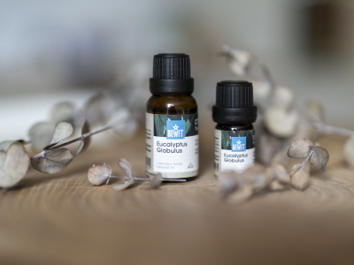 Eukalyptus Globulus - 100 % ren og naturlig eterisk CTEO®-olje - 3