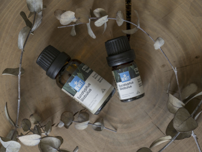 Eukalyptus Globulus - 100 % ren og naturlig eterisk CTEO®-olje - 4