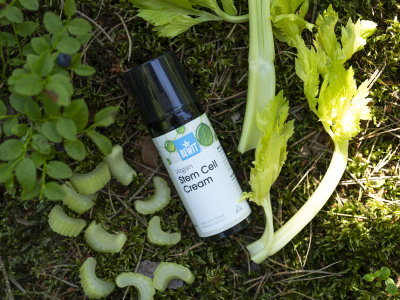 Stem Cell Cream – Cellular Flow - Holistiline kosmeetika - 2