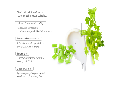 Stem Cell Cream – Cellular Flow - Holistická kosmetika - 3