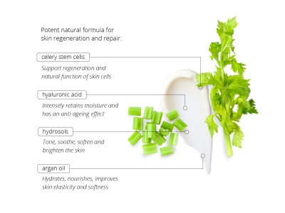 Stem Cell Cream – Cellular Flow - Holistic Cosmetics - 3