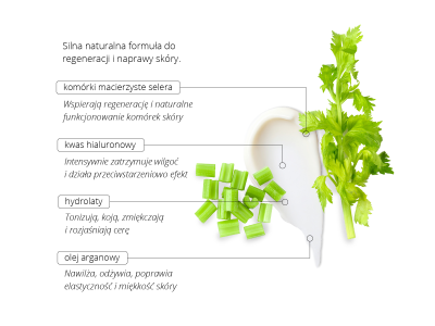Stem Cell Cream – Cellular Flow - Kosmetyki holistyczne - 3