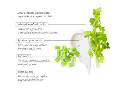 Stem Cell Cream – Cellular Flow - Holistická kozmetika - 3