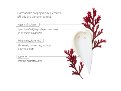 Vegan Collagen Cream – Nature's Flow -  - 3
