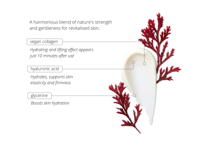 Vegan Collagen Cream – Nature's Flow -  - 3