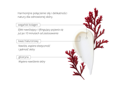 Vegan Collagen Cream – Nature's Flow -  - 3
