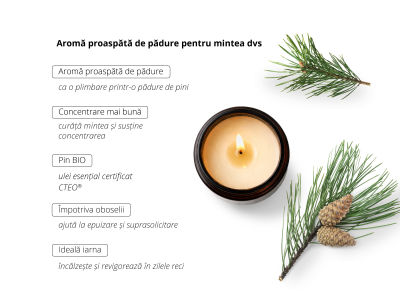 Pin - lumânare de soia -  - 4