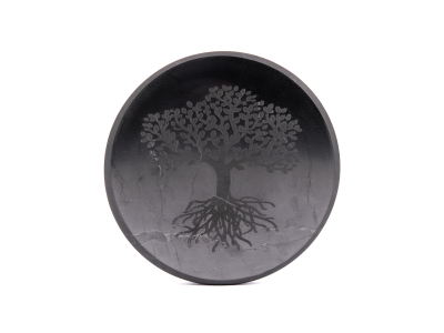Shungite Plate