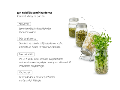 Alfalfa - klíčící semínka, BIO - Potravina - 3