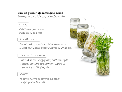Broccoli - semințe pentru germinare, BIO -  - 3