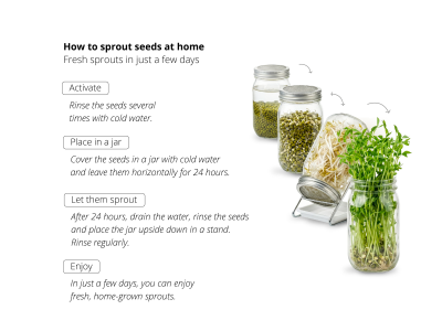 Green Lentil - Sprouting Seeds, BIO -  - 4