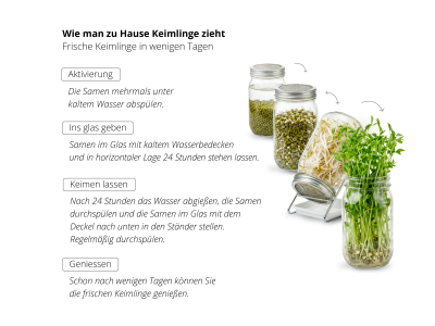 Mungobohnen - Keimsaat, BIO -  - 4