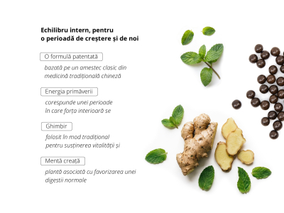 061 - Pace între general și bucătar - Supliment alimentar - 2