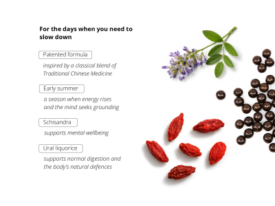 125 - Anchor of Calm - Nutritional Supplement - 4