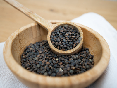 Green Lentil - Sprouting Seeds, BIO -  - 5