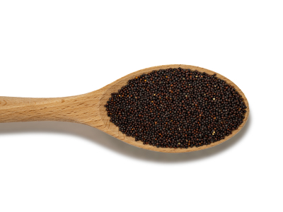 Broccoli - semințe pentru germinare, BIO -  - 2