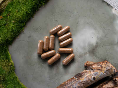Reishi, BIO - Toidulisand - 8