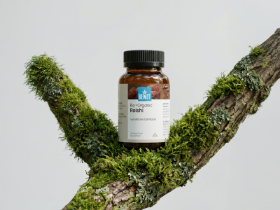 Reishi, BIO - Toidulisand - 6