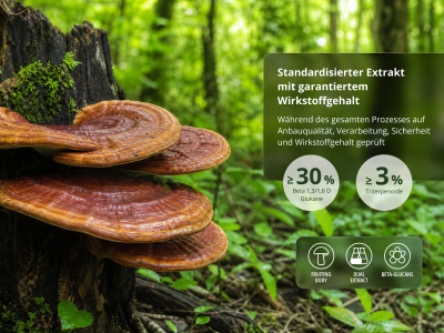 Reishi Premium, BIO (≥ 30 % Beta-Glucane) - Nahrungsergänzungsmittel. Dualextrakt aus Reishi-Fruchtkörpern in Bio-Qualität. - 5