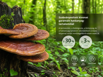 Reishi Premium, BIO (≥ 30% béta-glükán) - Étrend-kiegészítő. Reishi termőtestek kettős kivonata BIO minőségben. - 5
