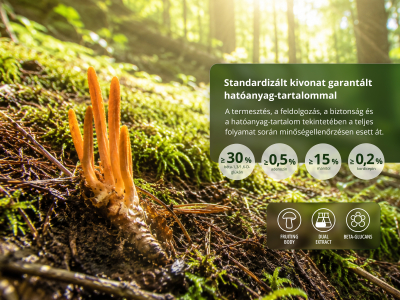 Cordyceps Premium, BIO (≥30% béta-glükán) - Étrend-kiegészítő. Kínai hernyógomba micélium kettős kivonata BIO minőségben. - 6